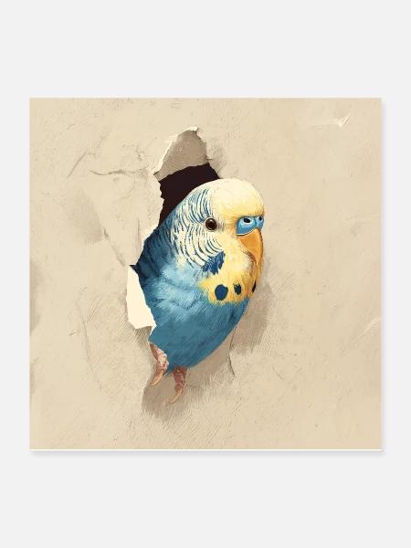 Wellensittich - Poster 40x40 cm - Weiß