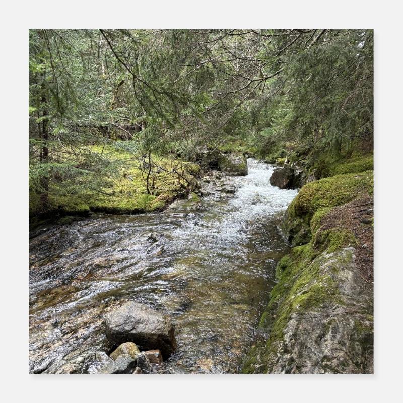 Stillleben im Wald mit Fluss Poster 40x40 cm