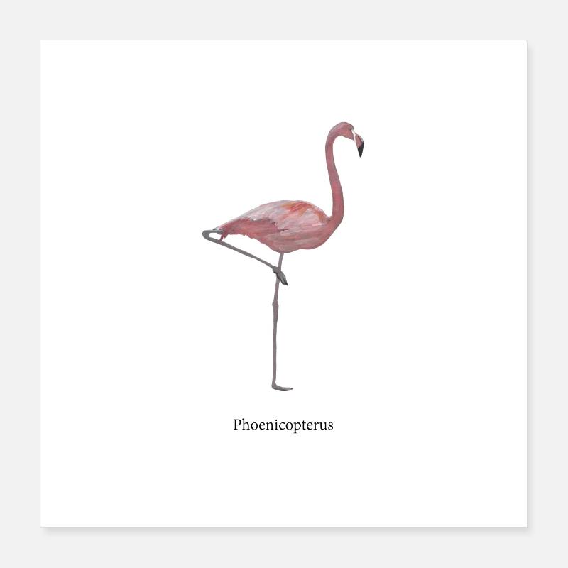 flamant Poster 40 x 40 cm