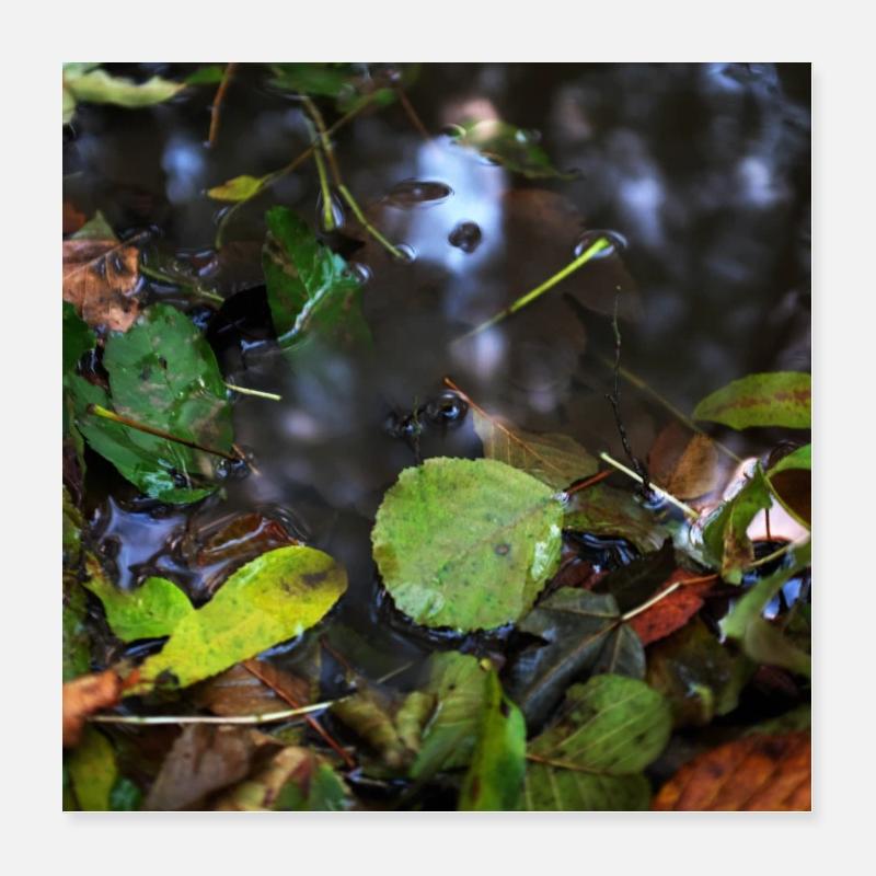 flaque Poster 40 x 40 cm