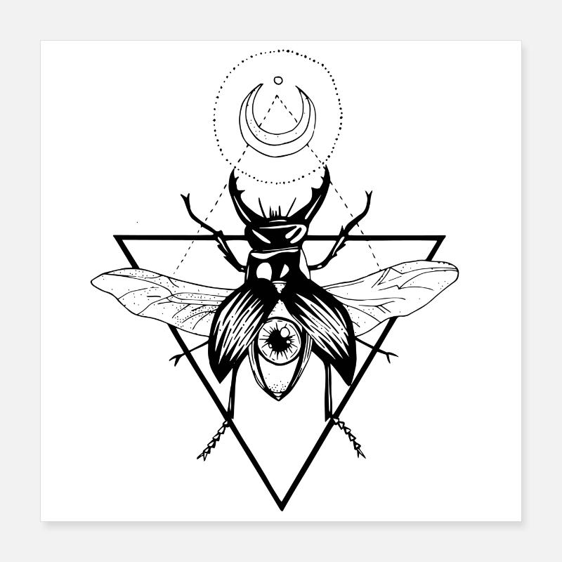 Stag Beetle Poster 40x40 cm