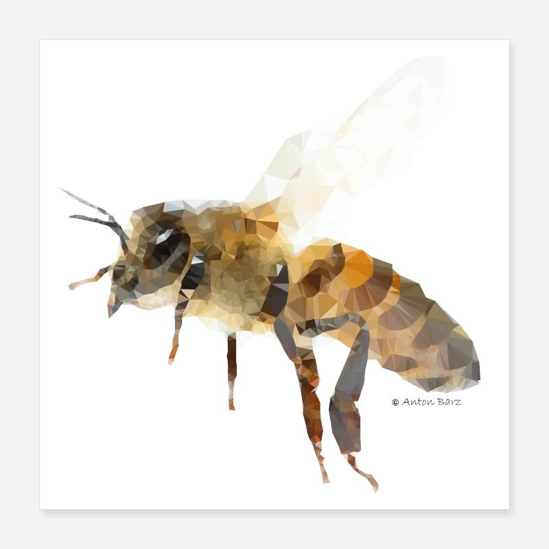 Biene Poster 40x40 cm