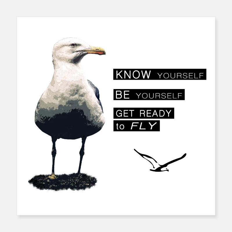 Die Lebensphilosophie der Möwe Poster 40x40 cm