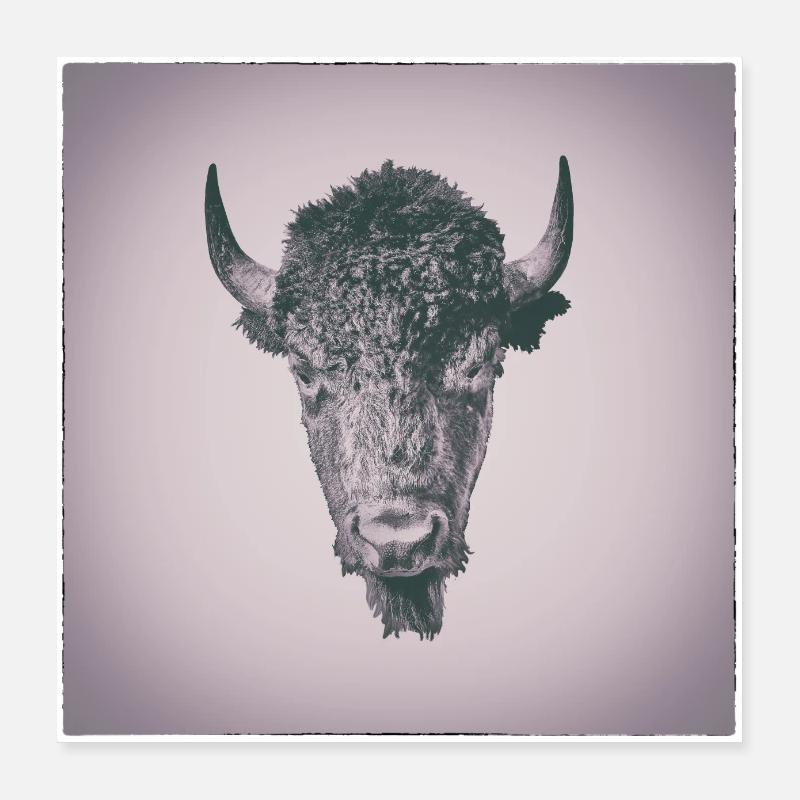 buffle Poster 40 x 40 cm