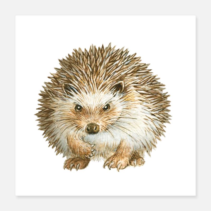 Verärgertes IGELES Poster 40x40 cm