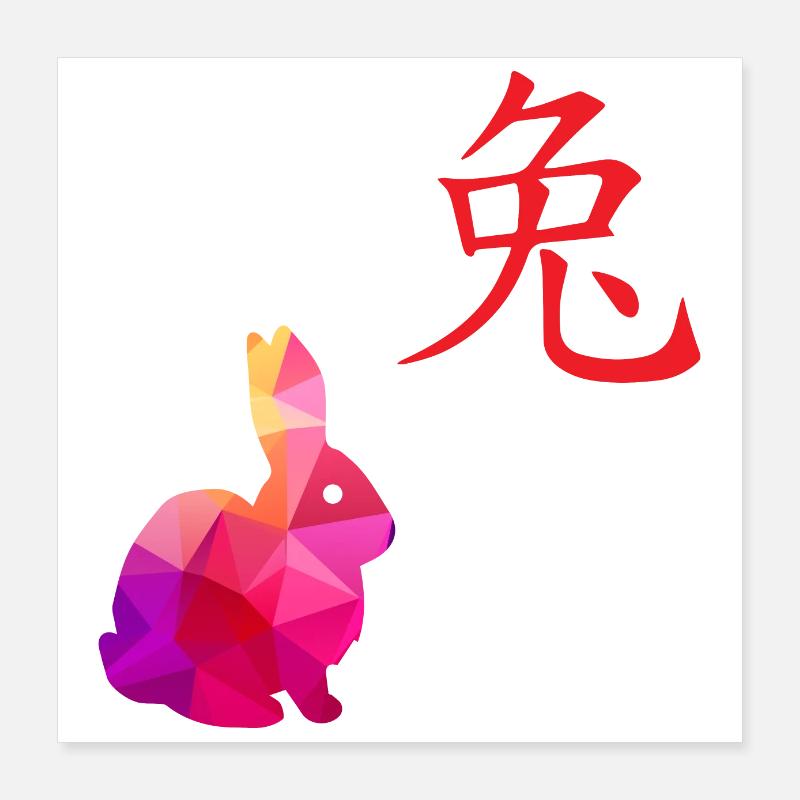Chinese Zodiac Sign Rabbit - Gift Idea Poster 16" x 16" (40x40 cm)