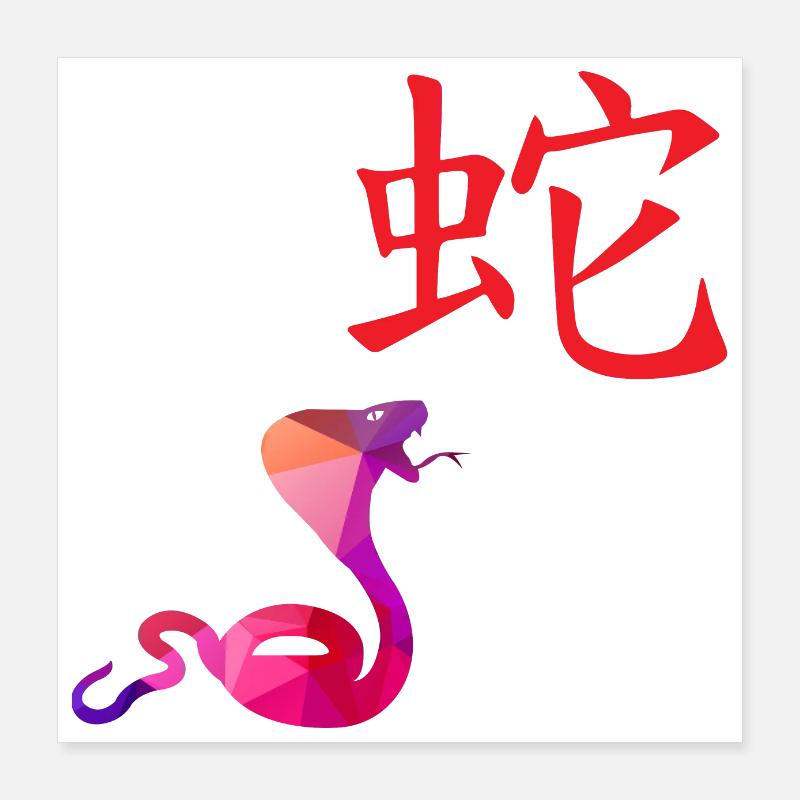 Chinesische Sternzeichen Schlange - Geschenkidee Poster 40x40 cm