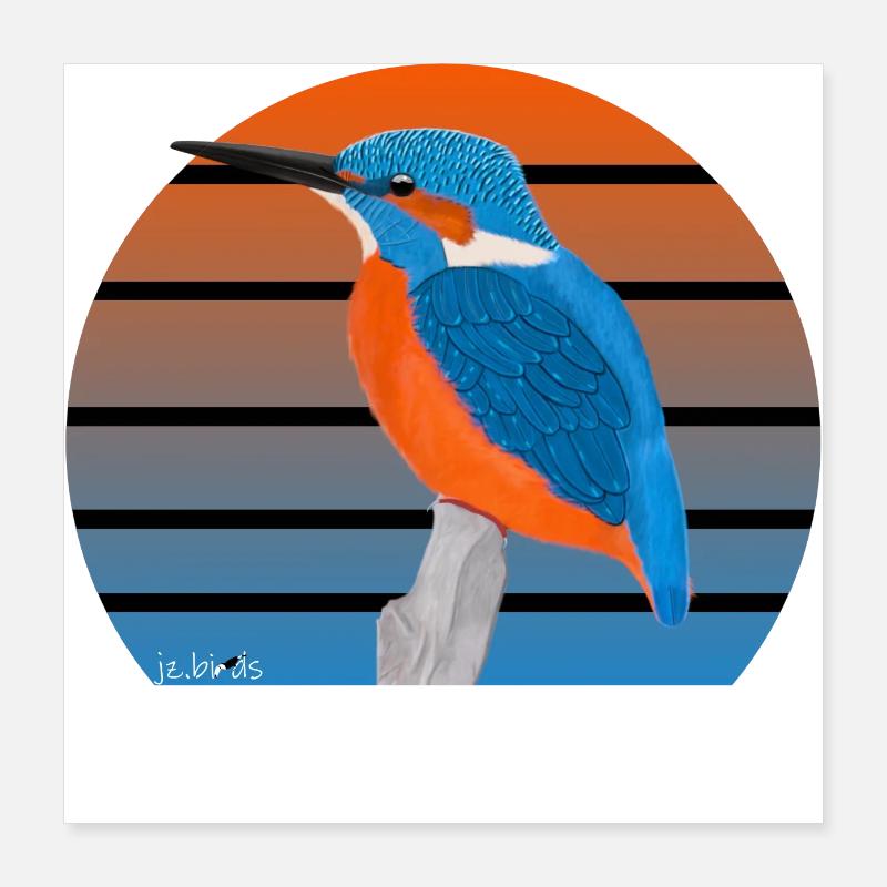 jz.birds Eisvogel Vogel Design Poster 40x40 cm