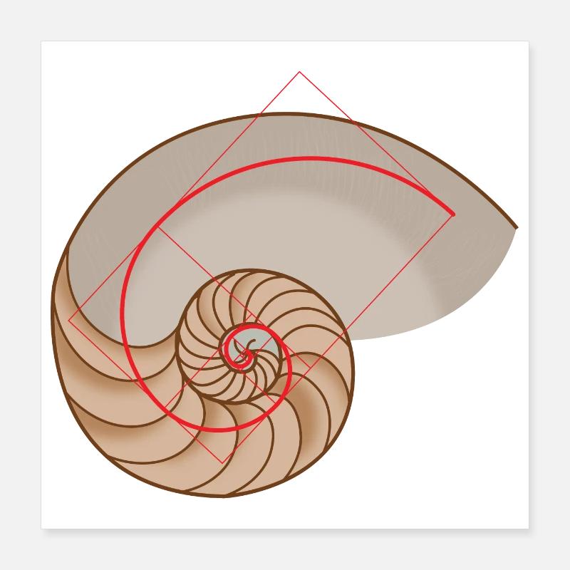 Symboles mathématiques Coquille de Nautile spirale dorée Poster 40 x 40 cm