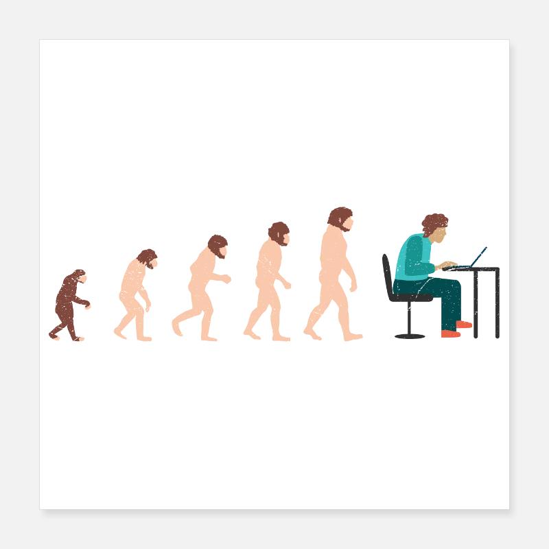 Idée cadeau Evolution Developer Programmer Poster 40 x 40 cm