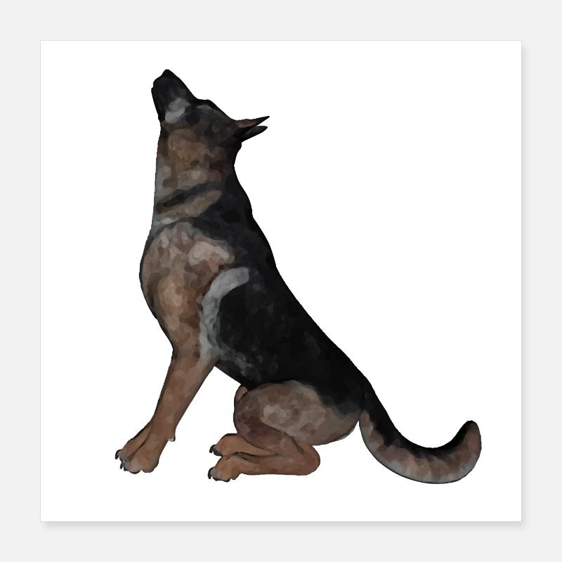German shepherd Poster 16" x 16" (40x40 cm)