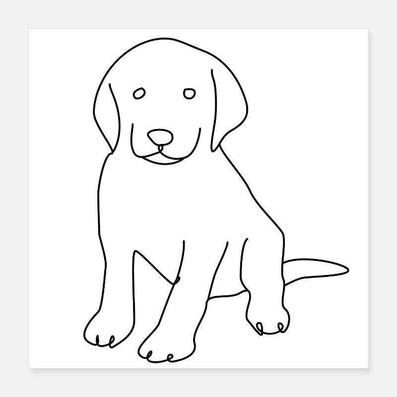Labrador Poster 40x40 cm