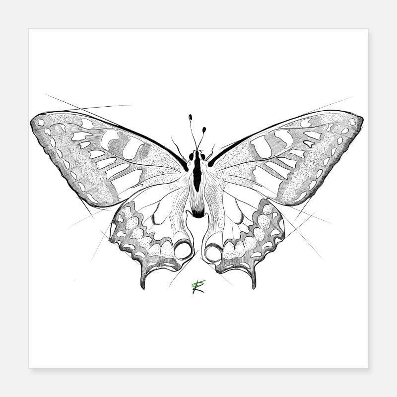 papillon Poster 40 x 40 cm