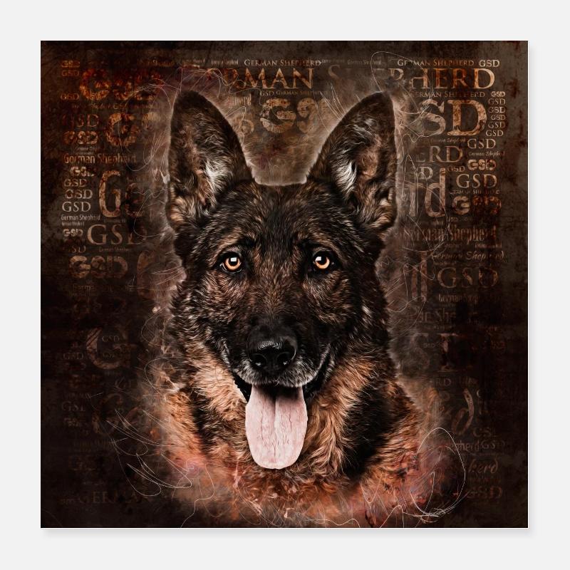 German Shepherd Dog - GSD Poster 16" x 16" (40x40 cm)