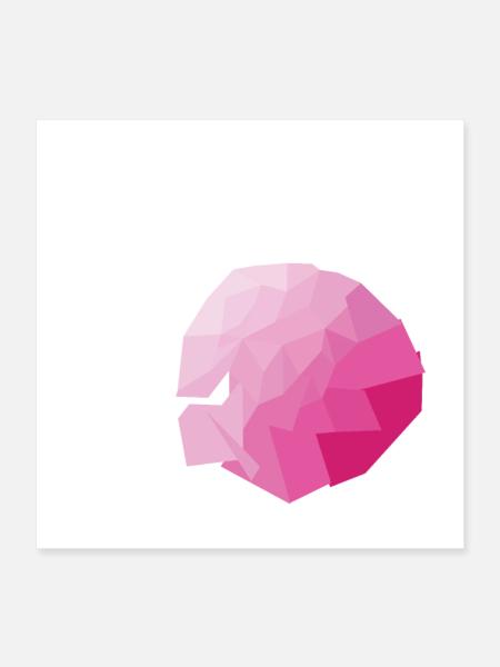 Rosa - Poster 40x40 cm - Weiß