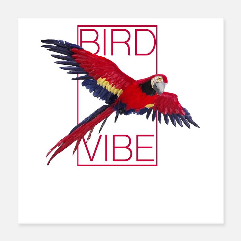 Perroquet rouge - OISEAU VIBE Poster 40 x 40 cm
