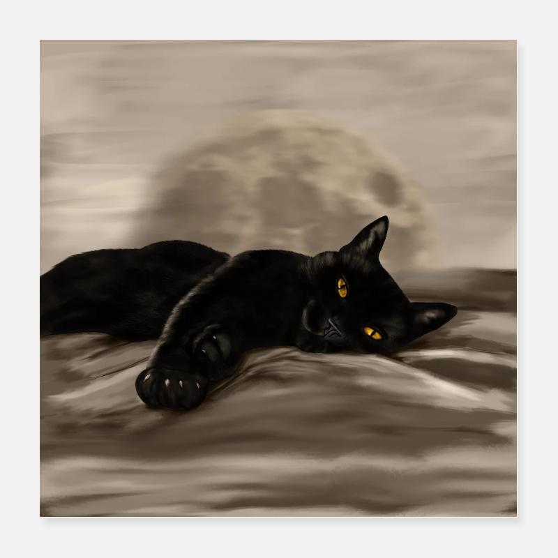 Black Cat chilling Poster 16" x 16" (40x40 cm)
