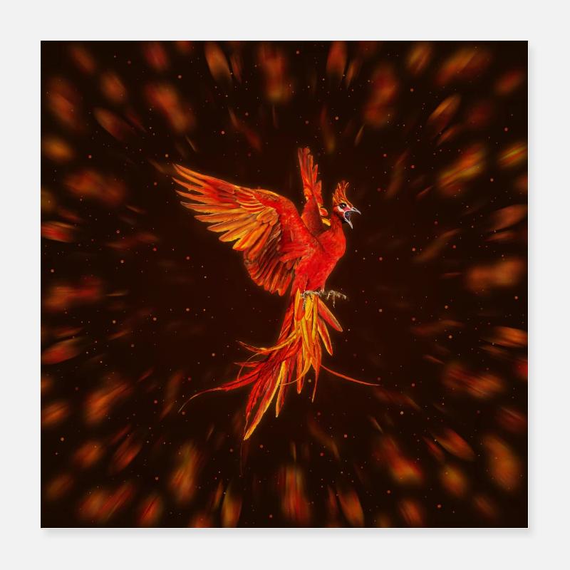 Phoenix Rising Poster 16" x 16" (40x40 cm)
