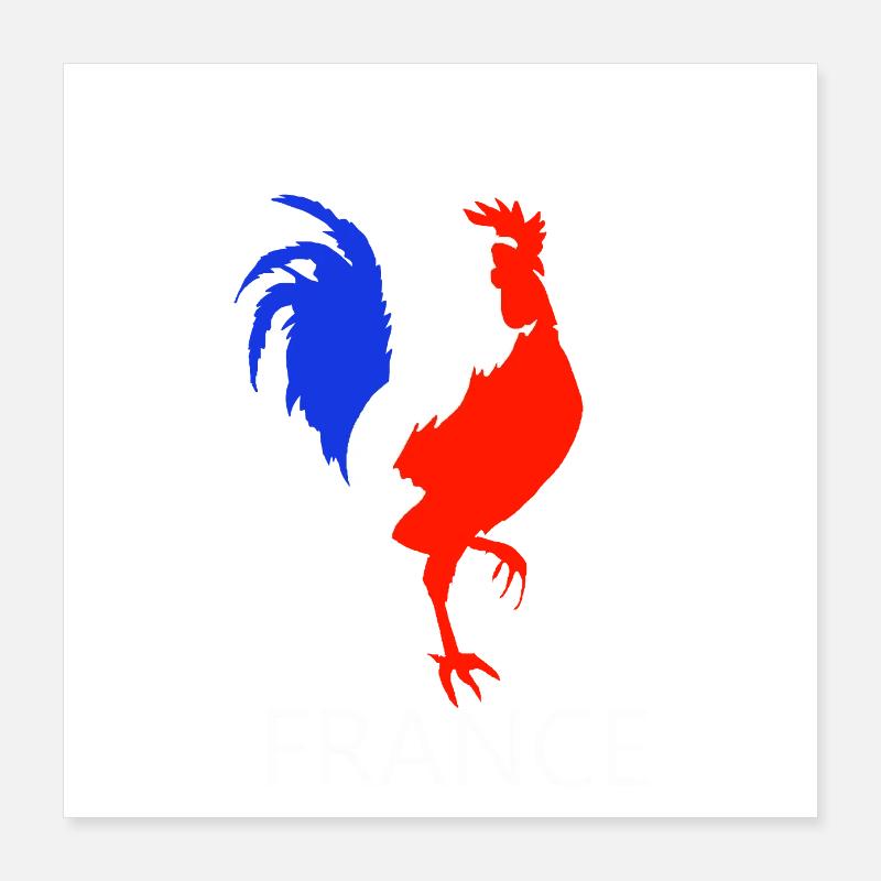 rooster blue white red Poster 16" x 16" (40x40 cm)