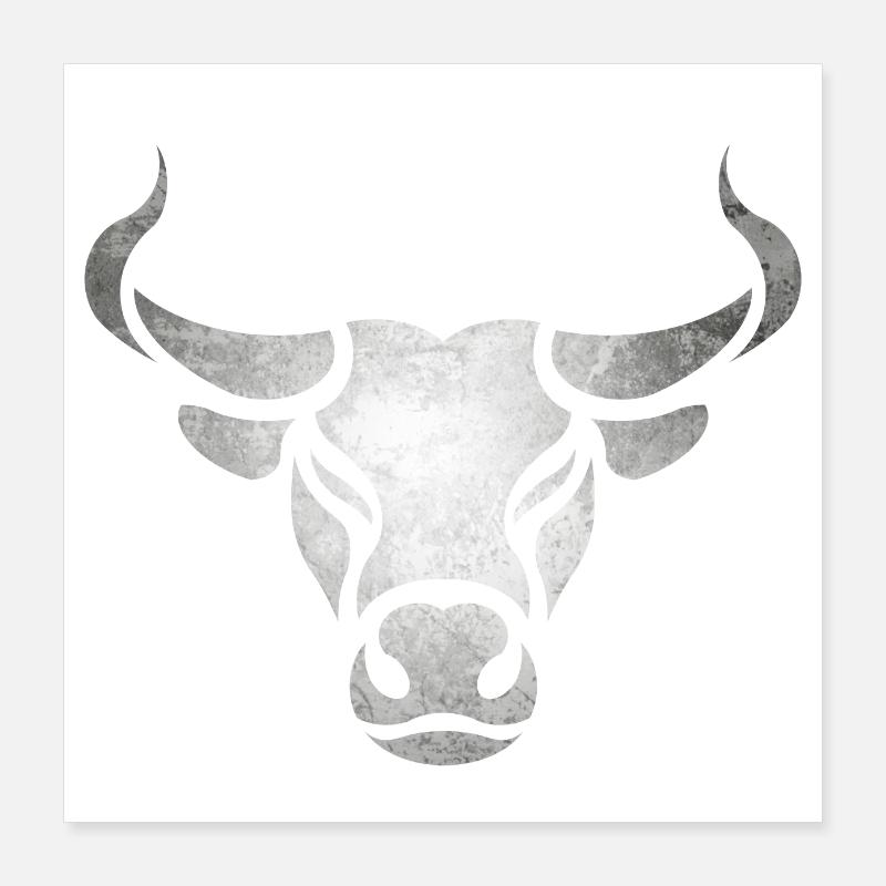 Stier Bulle Poster 40x40 cm
