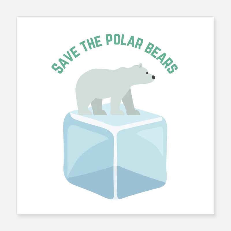 Polar bear Poster 16" x 16" (40x40 cm)