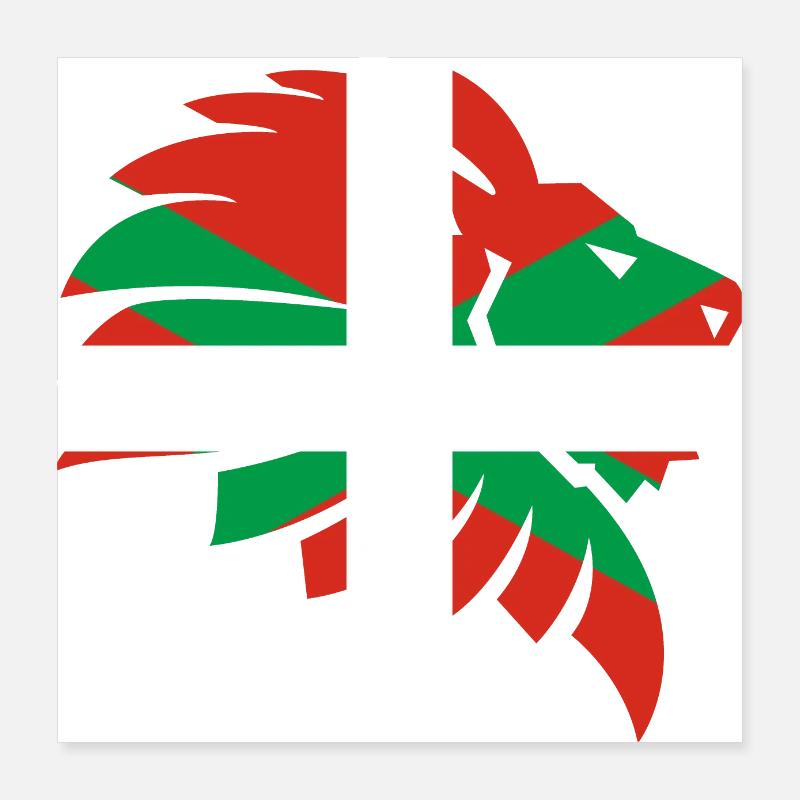 Drapeau Basque Navarre Cadeau Basque Basque Poster 40 x 40 cm