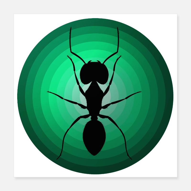 Fourmis Poster 40 x 40 cm