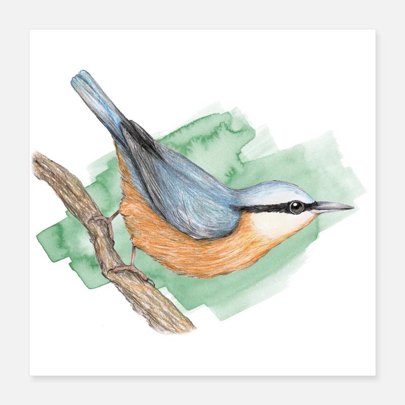 Kleiber Poster 40x40 cm