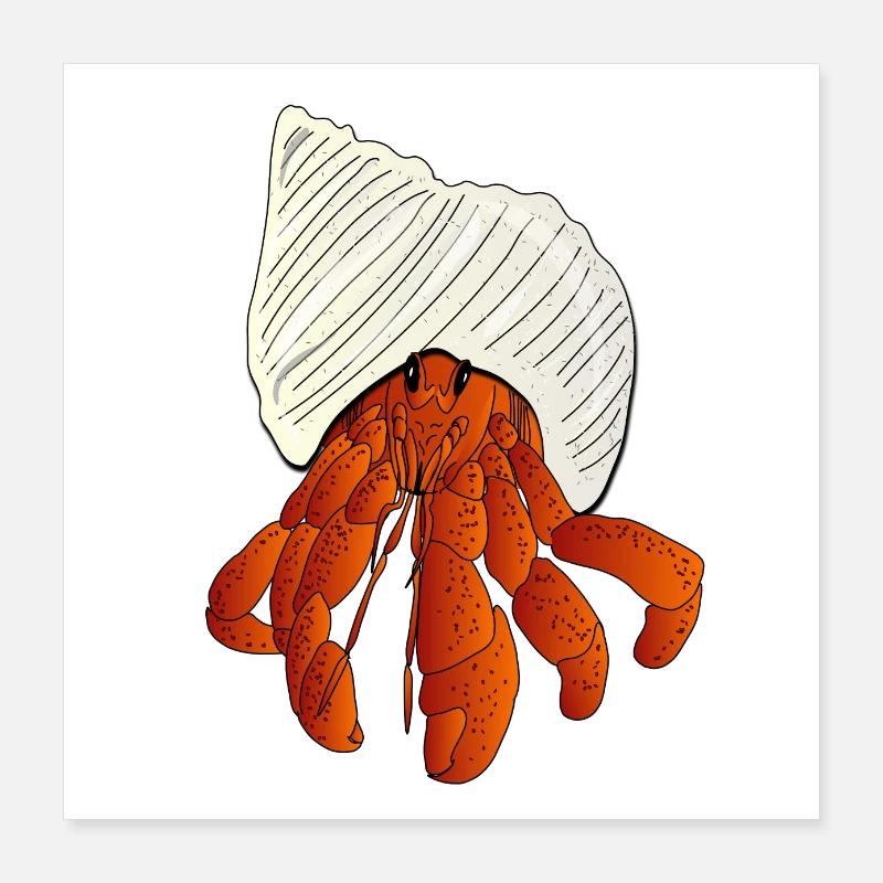 Le Bernard l'ermite l'hermite Poster 40 x 40 cm