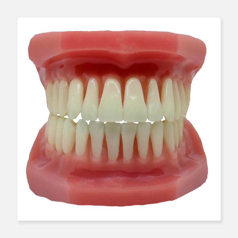 Zähne Poster 40x40 cm