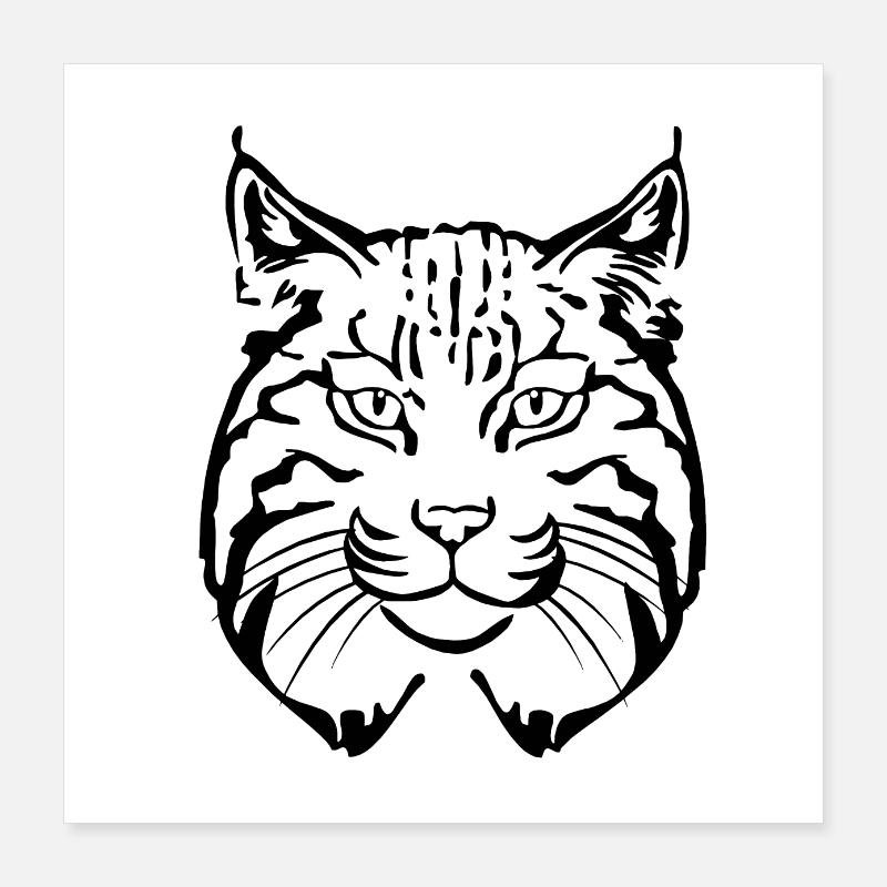 Luchs Kopf Poster 40x40 cm