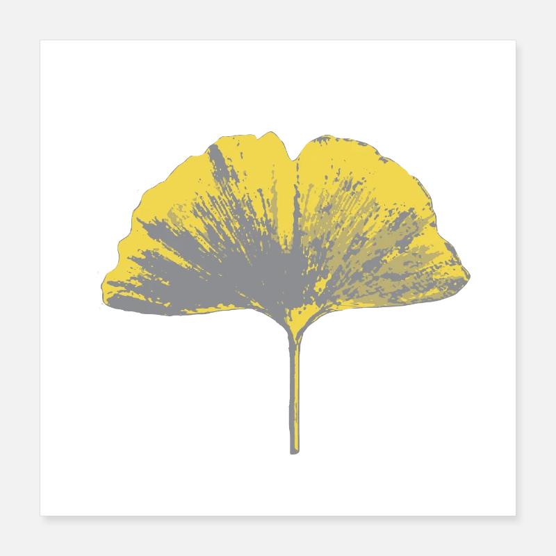 Feuille de ginko - Poster 40 x 40 cm - blanc