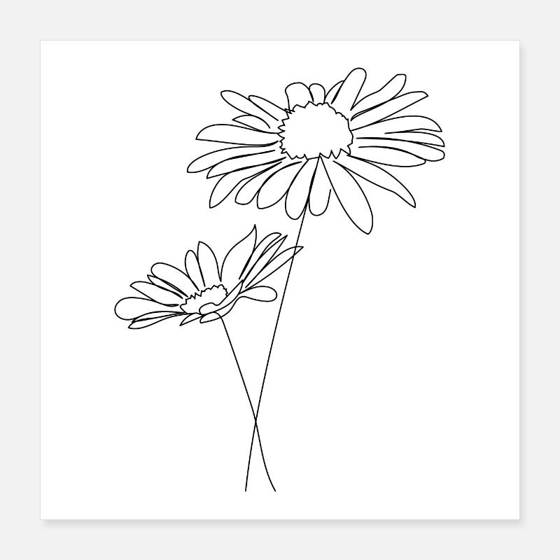 Chamomiles line art Poster 16" x 16" (40x40 cm)