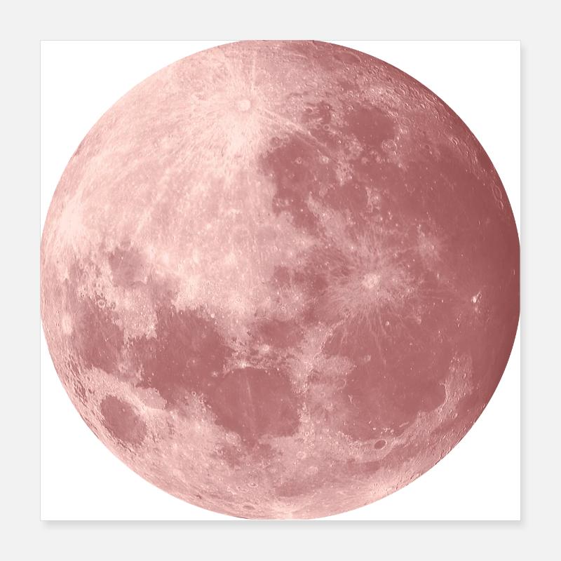 Lune dans l’or rose Poster 40 x 40 cm