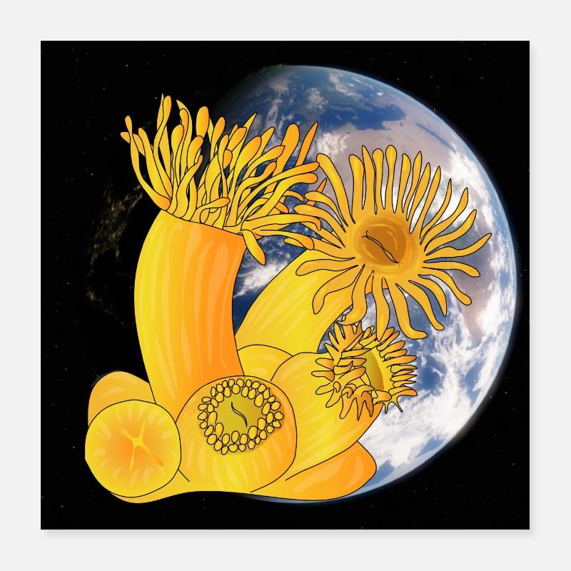 Coral polyps coral planet earth Poster 16" x 16" (40x40 cm)
