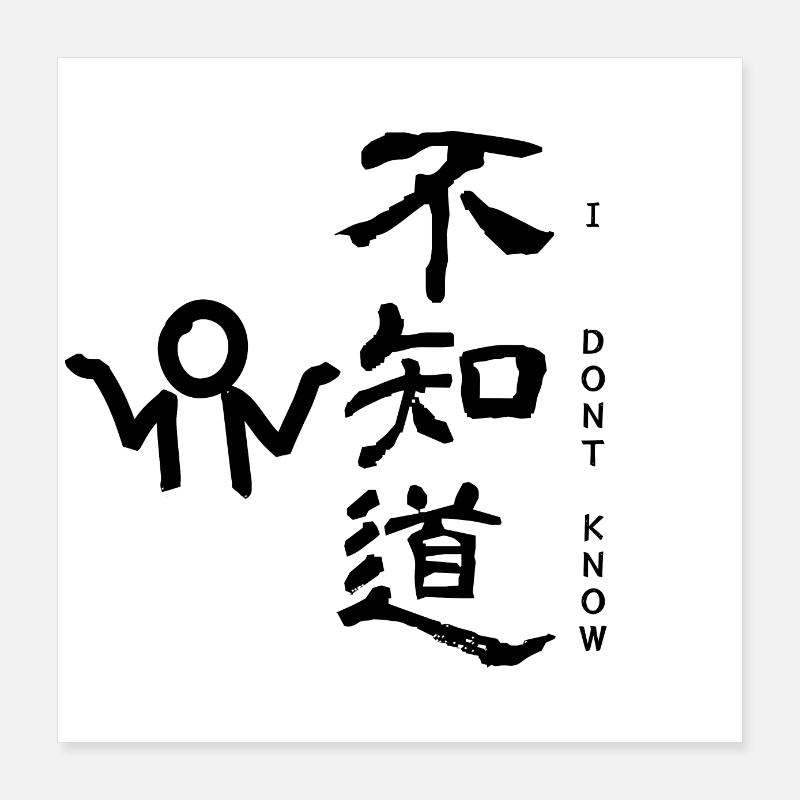 I dont know chinesisch Poster 40x40 cm