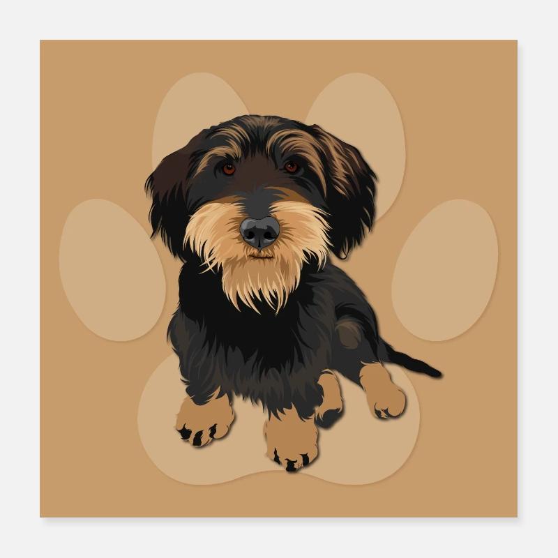 Teckel, Teckel, Chien, Illustration Poster 40 x 40 cm