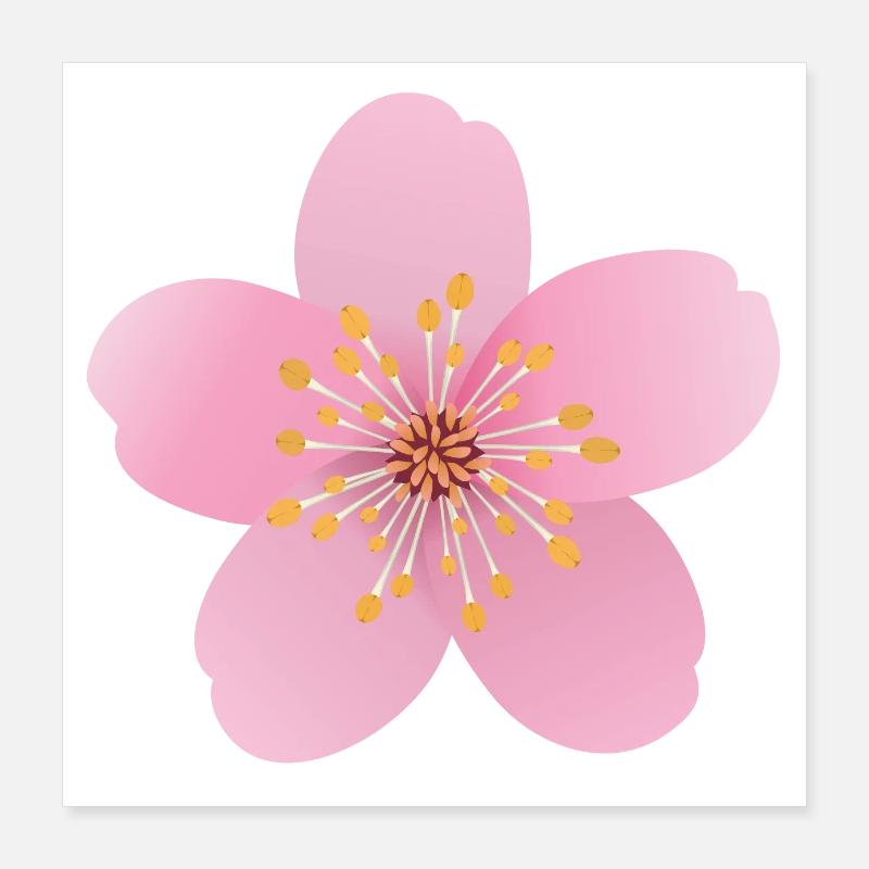 Kirschblüte Poster 40x40 cm