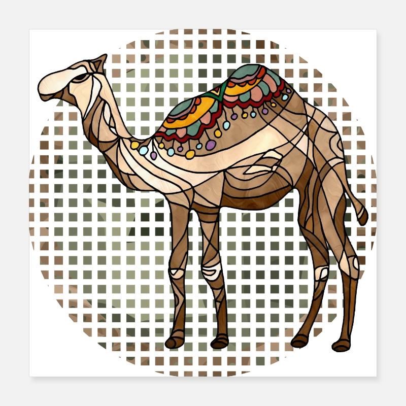 Kamel Poster 40x40 cm