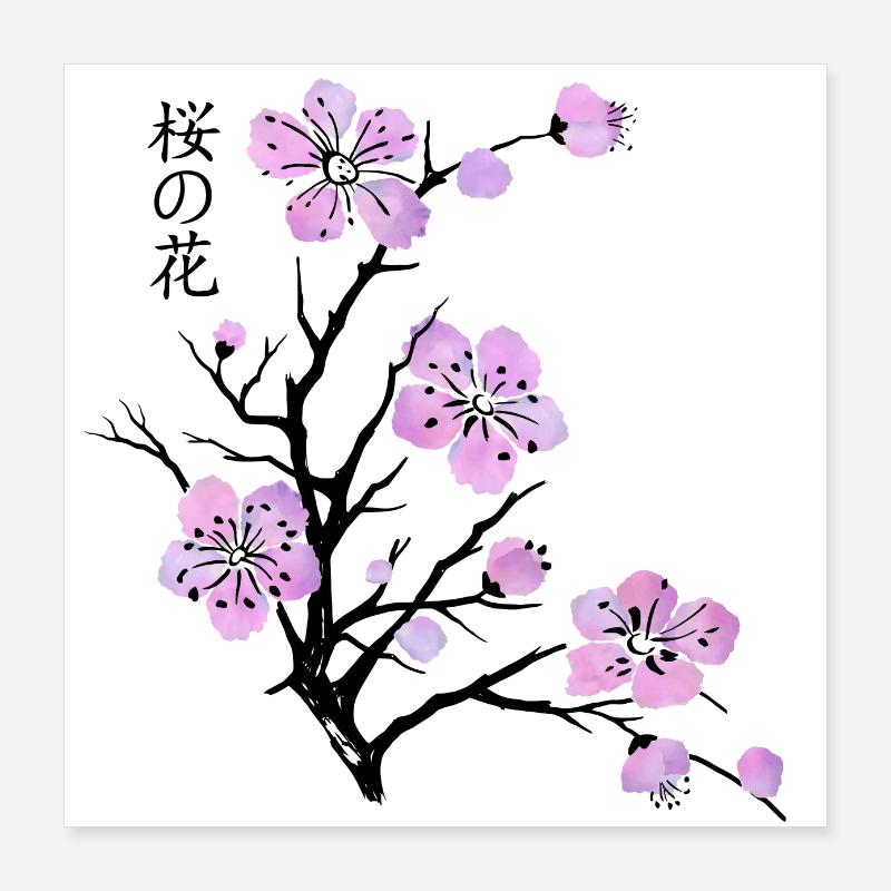 Fleurs de cerisier Poster 40 x 40 cm