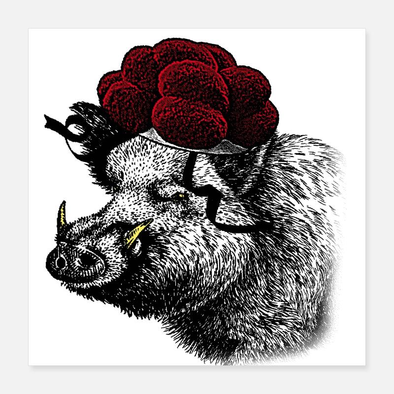 Wild boar / boar with Black Forest Bollenhut Poster 16" x 16" (40x40 cm)