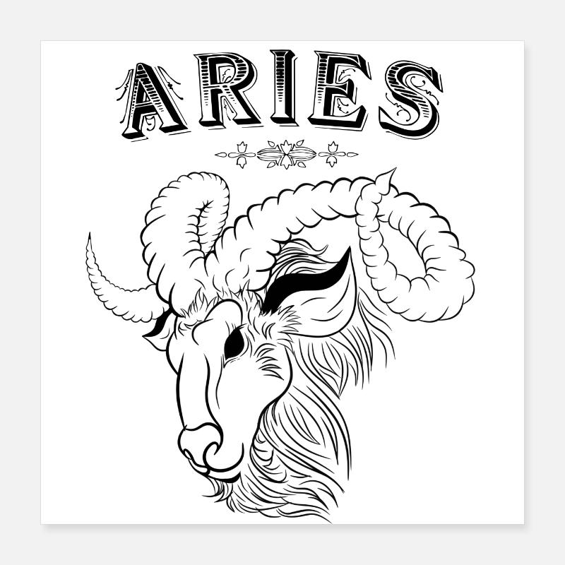 Aries Sternzeichen Widder Poster 40x40 cm