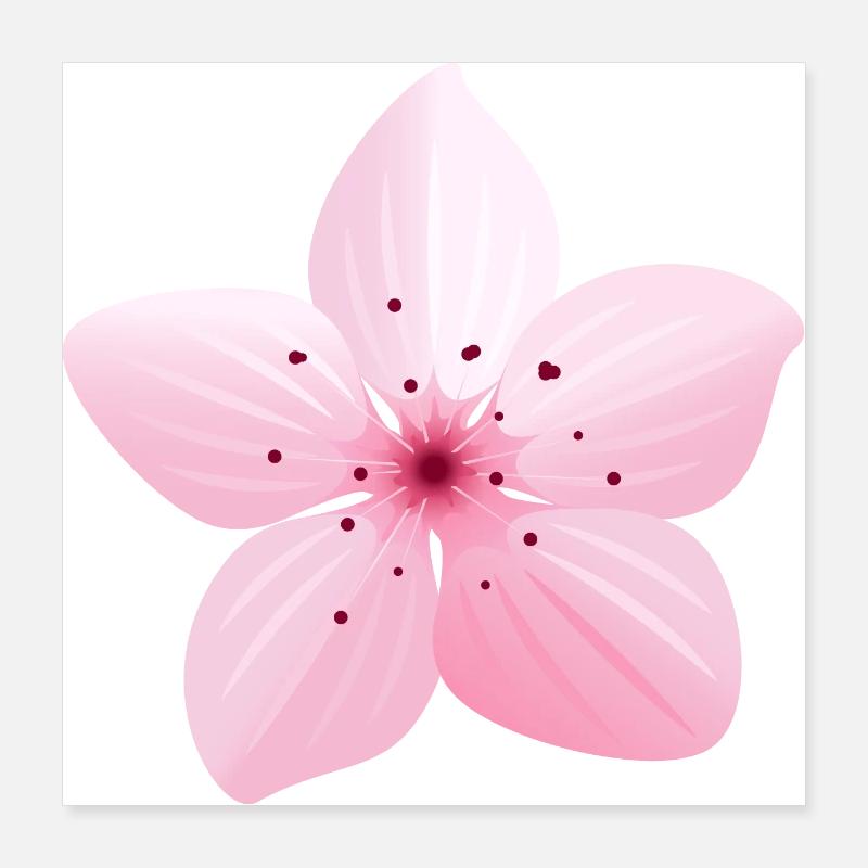 Blume Sakura Japan Frühling Poster 40x40 cm