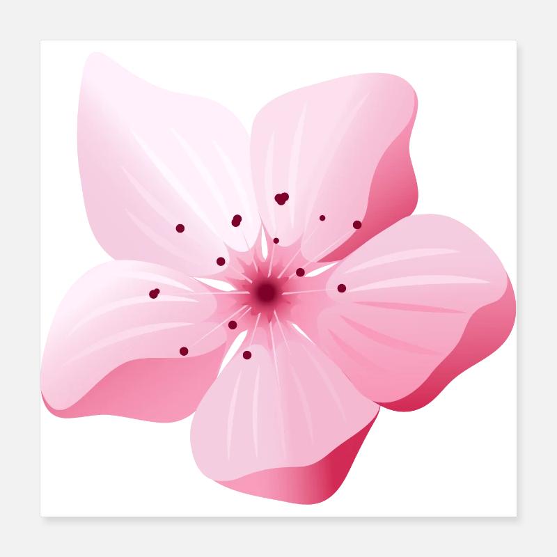 Fleur Sakura Japon printemps Poster 40 x 40 cm