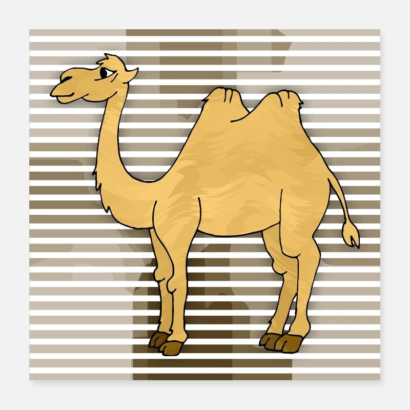 Camel Poster 16" x 16" (40x40 cm)