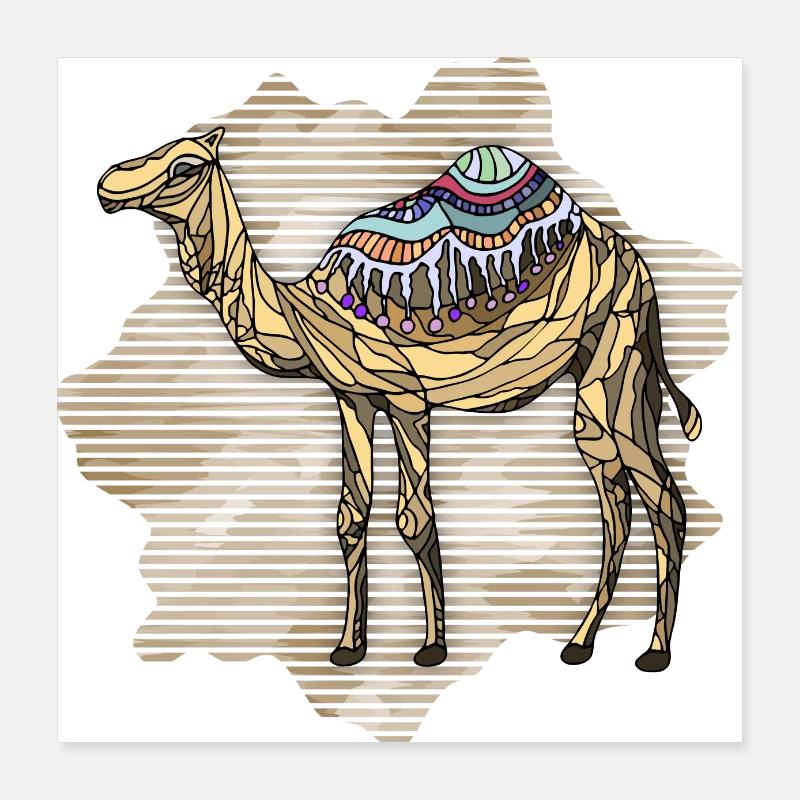 Kamel Poster 40x40 cm