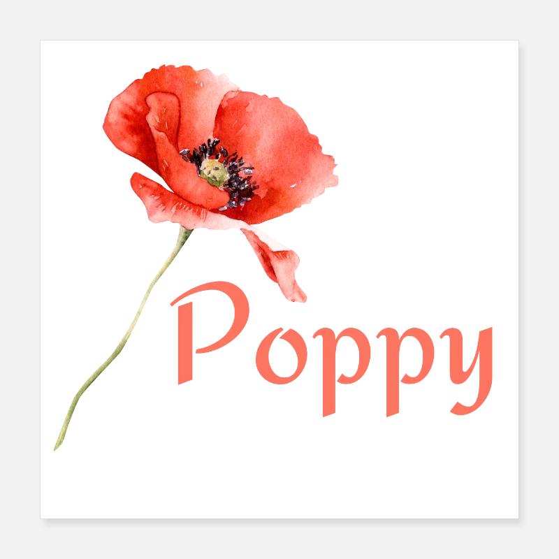 Poppy Poster 16" x 16" (40x40 cm)