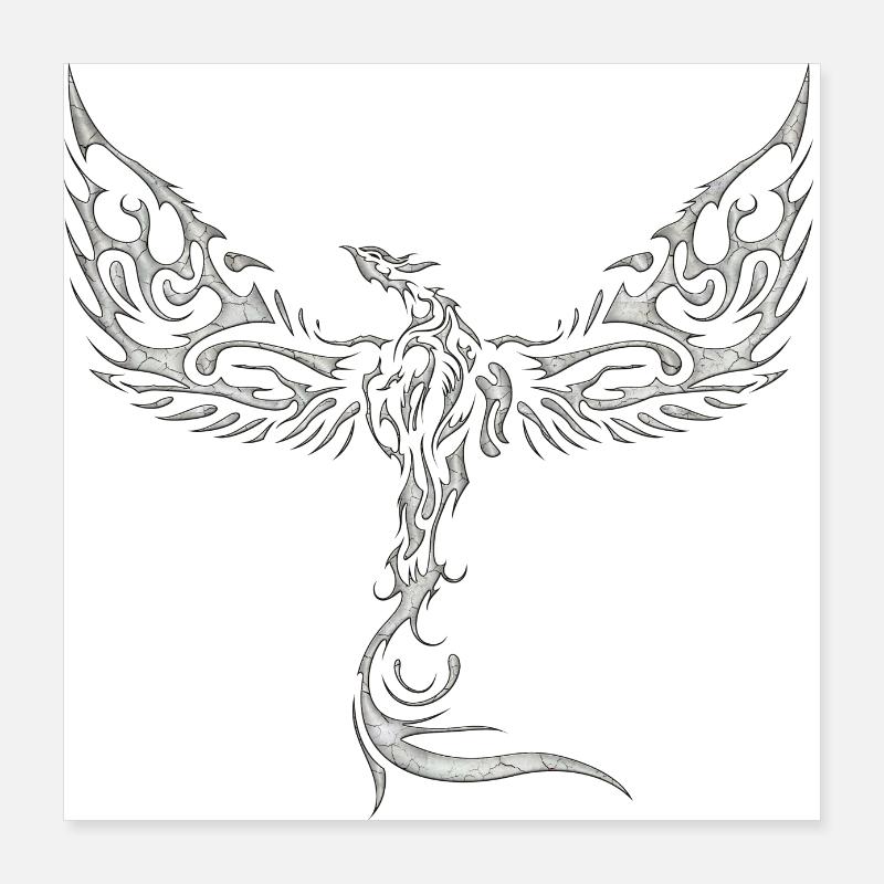 Aigles-Aigles-Aigles-Aigles-Oiseau-Oiseau Poster 40 x 40 cm