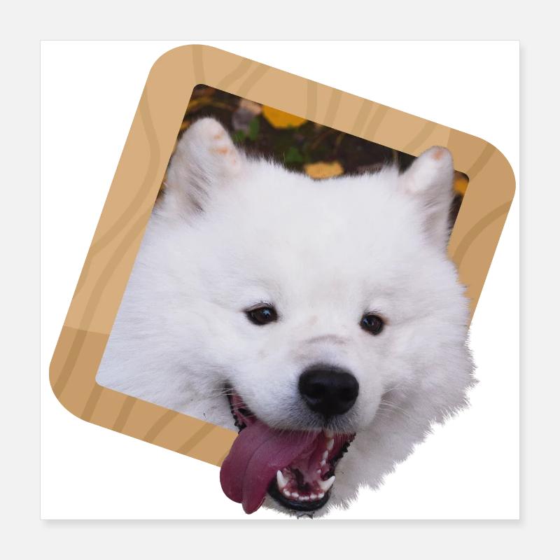 Chiot Samoyède dans un cadre Poster 40 x 40 cm