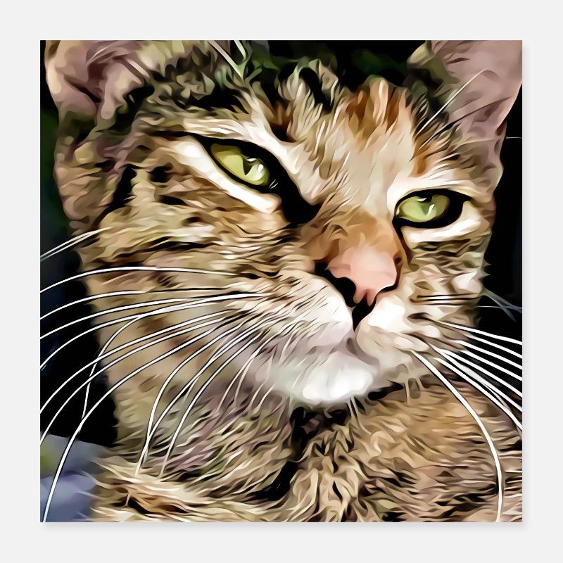 Tabby cat portrait Poster 16" x 16" (40x40 cm)